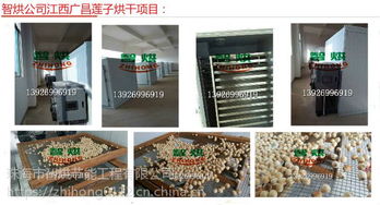 空氣能熱泵蓮子干燥機 智烘護航，解鎖蓮子與茶葉高品質(zhì)干燥新境界