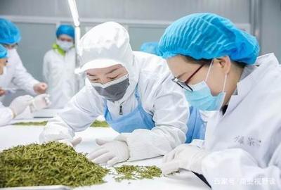 匠心成就優(yōu)良品質(zhì) 杜國楹的小罐茶獲艾問認(rèn)可